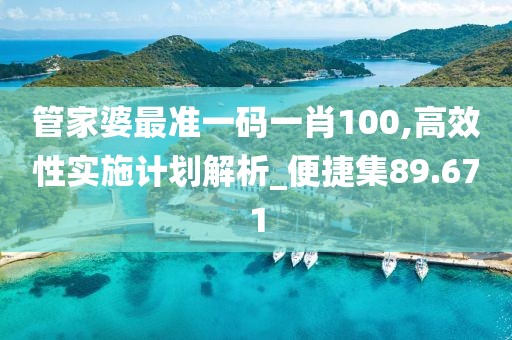 管家婆最準(zhǔn)一碼一肖100,高效性實(shí)施計(jì)劃解析_便捷集89.671
