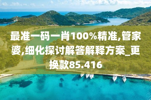 最準(zhǔn)一碼一肖100%精準(zhǔn),管家婆,細(xì)化探討解答解釋方案_更換款85.416