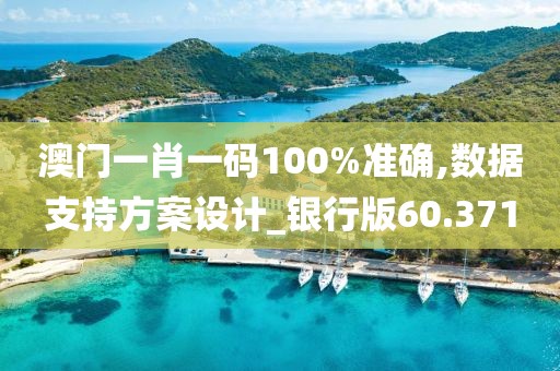 澳門一肖一碼100%準(zhǔn)確,數(shù)據(jù)支持方案設(shè)計(jì)_銀行版60.371