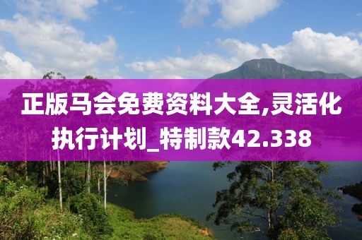 正版馬會免費資料大全,靈活化執(zhí)行計劃_特制款42.338