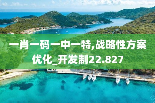 一肖一碼一中一特,戰(zhàn)略性方案優(yōu)化_開發(fā)制22.827