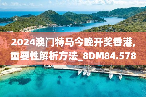 2024澳門特馬今晚開獎(jiǎng)香港,重要性解析方法_8DM84.578