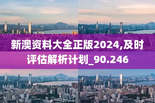 新澳資料大全正版2024,及時評估解析計劃_90.246