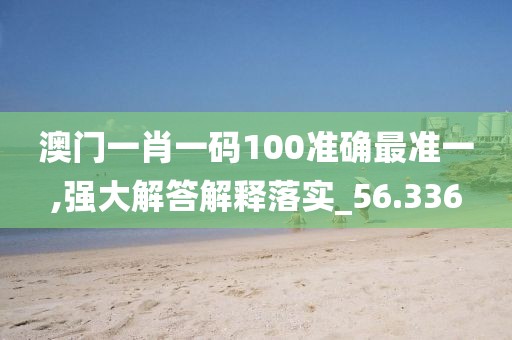 澳門一肖一碼100準確最準一,強大解答解釋落實_56.336