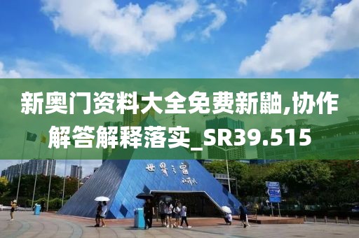 新奧門資料大全免費(fèi)新鼬,協(xié)作解答解釋落實(shí)_SR39.515