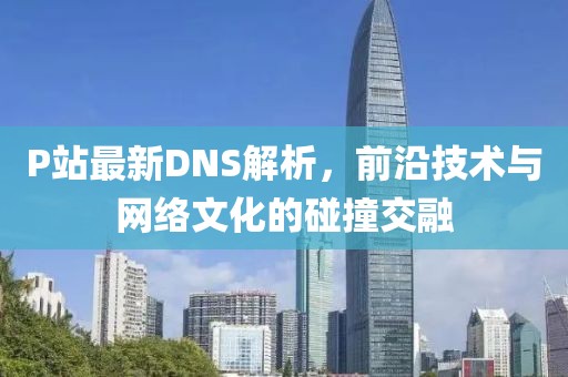 P站最新DNS解析，前沿技術(shù)與網(wǎng)絡(luò)文化的碰撞交融