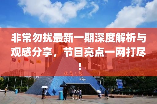 非常勿擾最新一期深度解析與觀感分享，節(jié)目亮點(diǎn)一網(wǎng)打盡！