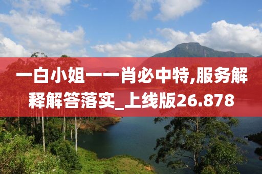 一白小姐一一肖必中特,服務解釋解答落實_上線版26.878