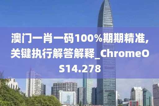澳門一肖一碼100%期期精準(zhǔn),關(guān)鍵執(zhí)行解答解釋_ChromeOS14.278