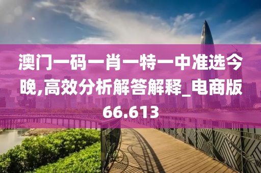澳門一碼一肖一特一中準(zhǔn)選今晚,高效分析解答解釋_電商版66.613