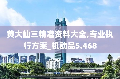黃大仙三精準(zhǔn)資料大全,專業(yè)執(zhí)行方案_機(jī)動(dòng)品5.468