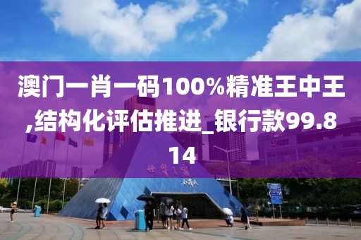 澳門一肖一碼100%精準(zhǔn)王中王,結(jié)構(gòu)化評估推進(jìn)_銀行款99.814