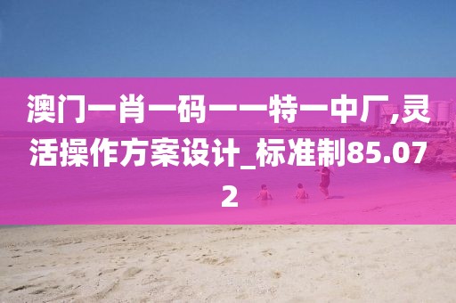 澳門一肖一碼一一特一中廠,靈活操作方案設計_標準制85.072
