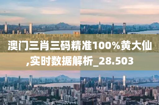 澳門三肖三碼精準(zhǔn)100%黃大仙,實(shí)時數(shù)據(jù)解析_28.503