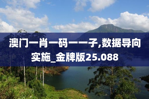 澳門一肖一碼一一子,數(shù)據(jù)導(dǎo)向?qū)嵤金牌版25.088