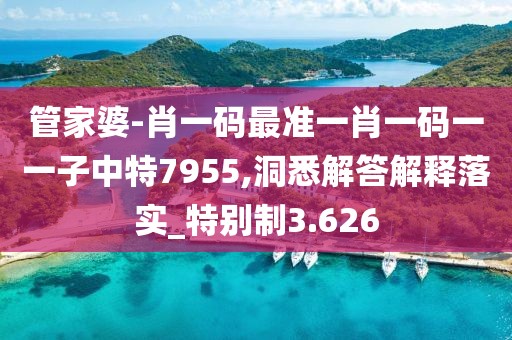 管家婆-肖一碼最準一肖一碼一一子中特7955,洞悉解答解釋落實_特別制3.626