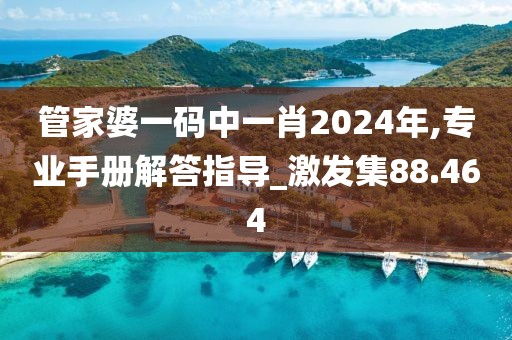 管家婆一碼中一肖2024年,專業(yè)手冊(cè)解答指導(dǎo)_激發(fā)集88.464