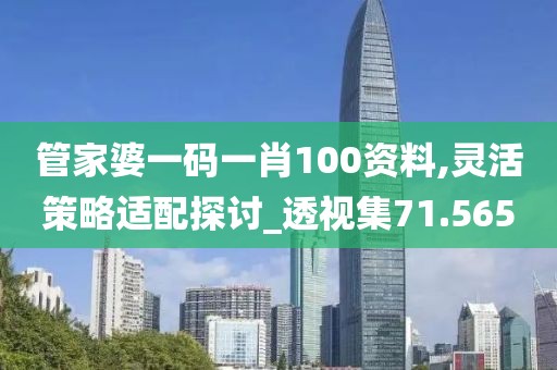 管家婆一碼一肖100資料,靈活策略適配探討_透視集71.565