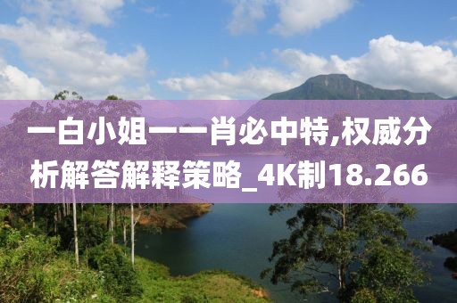 一白小姐一一肖必中特,權威分析解答解釋策略_4K制18.266