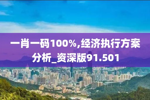 一肖一碼100%,經(jīng)濟(jì)執(zhí)行方案分析_資深版91.501