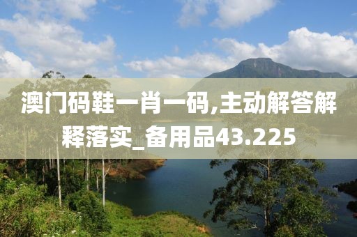澳門碼鞋一肖一碼,主動解答解釋落實_備用品43.225