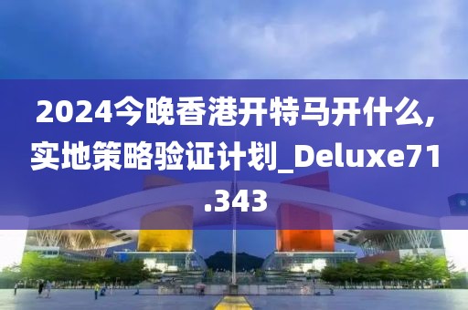 2024今晚香港開特馬開什么,實地策略驗證計劃_Deluxe71.343