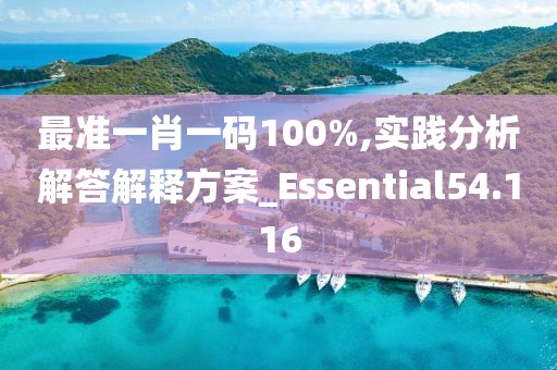 最準(zhǔn)一肖一碼100%,實(shí)踐分析解答解釋方案_Essential54.116