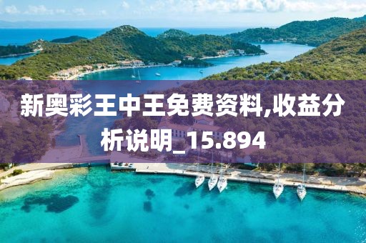 新奧彩王中王免費(fèi)資料,收益分析說明_15.894