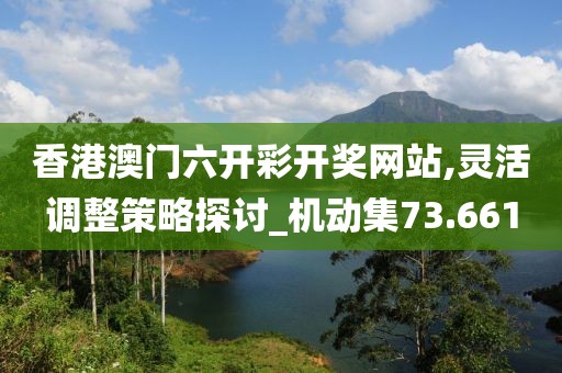 香港澳門六開彩開獎網(wǎng)站,靈活調(diào)整策略探討_機動集73.661