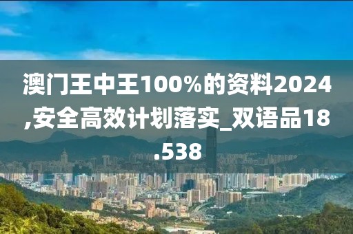 澳門王中王100%的資料2024,安全高效計(jì)劃落實(shí)_雙語(yǔ)品18.538