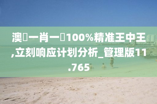 澳門一肖一碼100%精準(zhǔn)王中王,立刻響應(yīng)計(jì)劃分析_管理版11.765