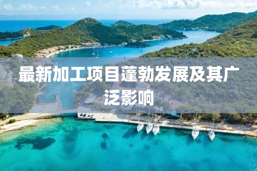 最新加工項(xiàng)目蓬勃發(fā)展及其廣泛影響