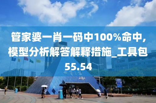 管家婆一肖一碼中100%命中,模型分析解答解釋措施_工具包55.54