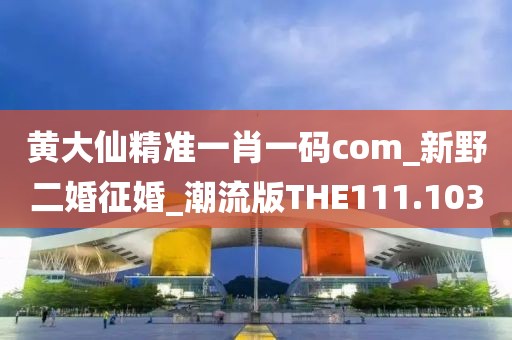 黃大仙精準一肖一碼com_新野二婚征婚_潮流版THE111.103