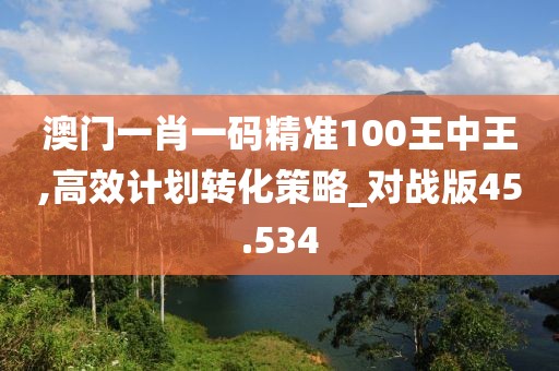 澳門一肖一碼精準(zhǔn)100王中王,高效計(jì)劃轉(zhuǎn)化策略_對(duì)戰(zhàn)版45.534