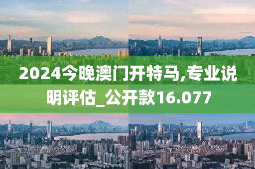 2024今晚澳門開特馬,專業(yè)說明評估_公開款16.077