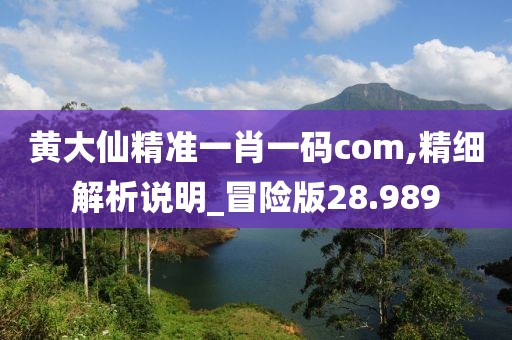 黃大仙精準一肖一碼com,精細解析說明_冒險版28.989