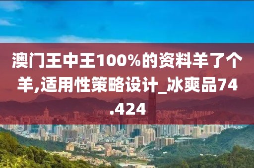澳門王中王100%的資料羊了個羊,適用性策略設(shè)計_冰爽品74.424