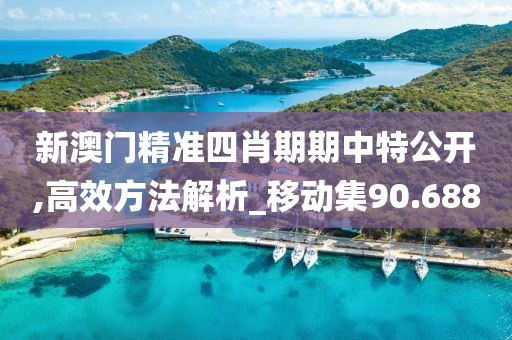 新澳門精準四肖期期中特公開,高效方法解析_移動集90.688