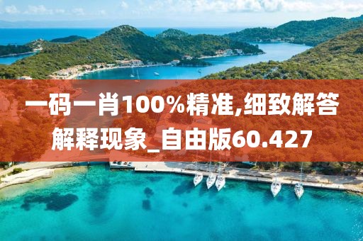一碼一肖100%精準(zhǔn),細(xì)致解答解釋現(xiàn)象_自由版60.427