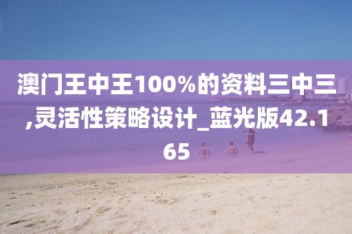 澳門王中王100%的資料三中三,靈活性策略設(shè)計(jì)_藍(lán)光版42.165