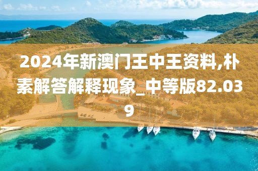 2024年新澳門王中王資料,樸素解答解釋現(xiàn)象_中等版82.039