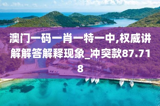 澳門(mén)一碼一肖一特一中,權(quán)威講解解答解釋現(xiàn)象_沖突款87.718