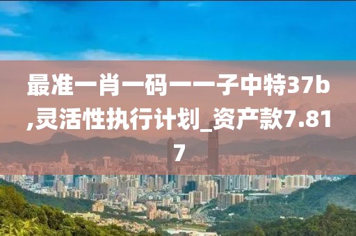 最準一肖一碼一一子中特37b,靈活性執(zhí)行計劃_資產(chǎn)款7.817