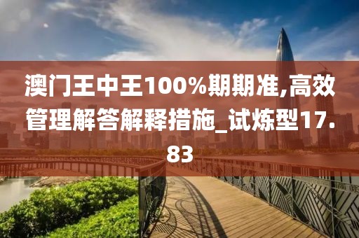 澳門王中王100%期期準(zhǔn),高效管理解答解釋措施_試煉型17.83