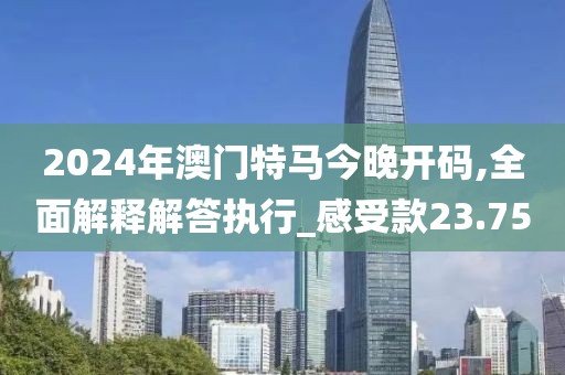 2024年澳門特馬今晚開碼,全面解釋解答執(zhí)行_感受款23.75