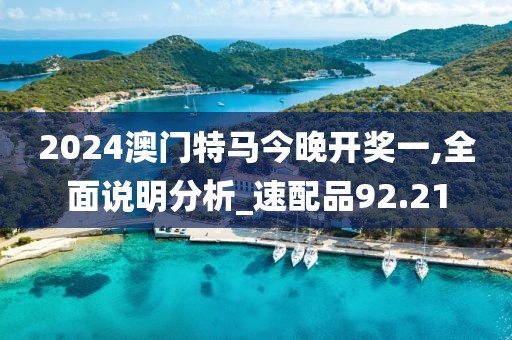 2024澳門特馬今晚開獎一,全面說明分析_速配品92.21