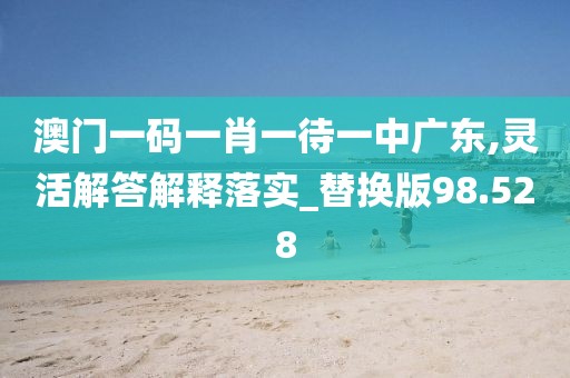澳門一碼一肖一待一中廣東,靈活解答解釋落實_替換版98.528