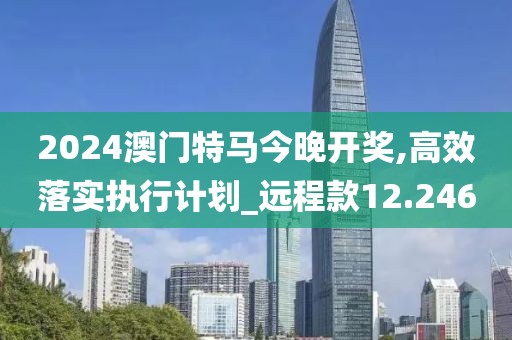 2024澳門特馬今晚開獎,高效落實執(zhí)行計劃_遠程款12.246