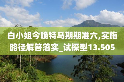 白小姐今晚特馬期期準(zhǔn)六,實施路徑解答落實_試探型13.505